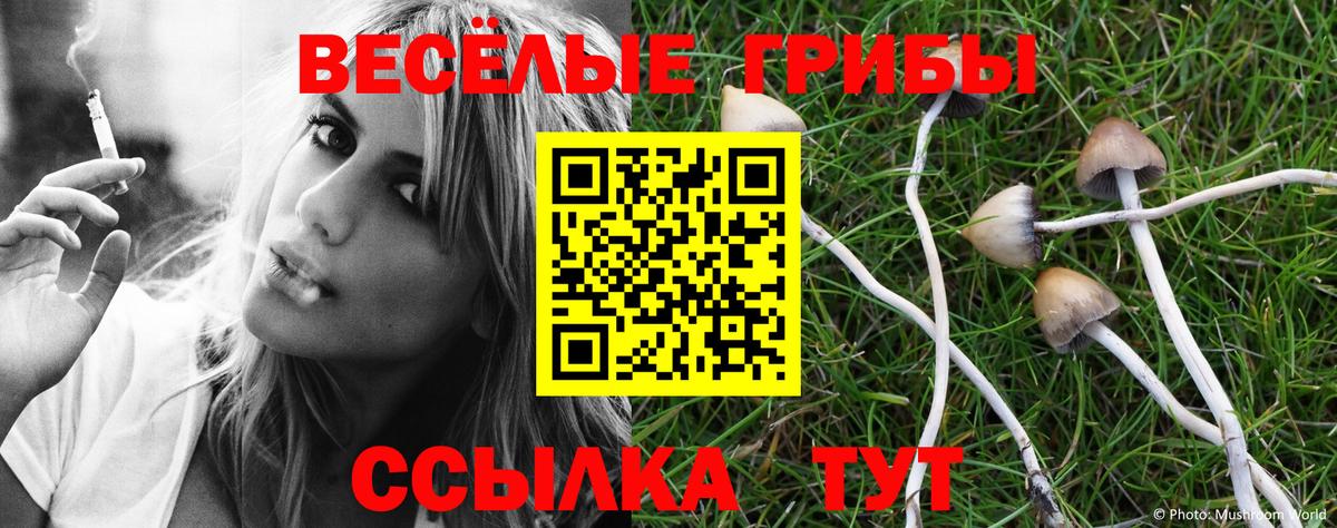 Галлюциногенные грибы Cubensis  Вход с VPN  продажа наркотиков  Галлюциногенные грибы MAGIC MUSHROOMS  Кыштым 